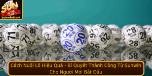 Cach Nuoi Lo Hieu Qua Bi Quyet Thanh Cong Tu Sunwin Cho Nguoi Moi Bat Au