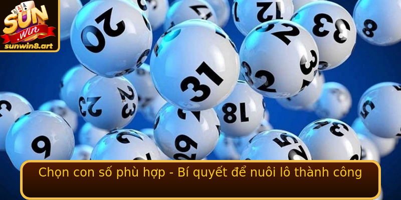 Chọn con số phù hợp - Bí quyết để nuôi lô thành công Chọn con số phù hợp - Bí quyết để nuôi lô thành công