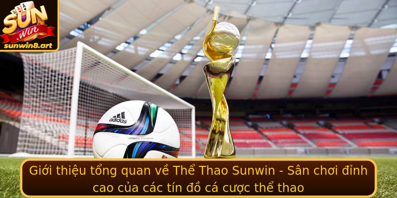 Gioi Thieu Tong Quan Ve The Thao Sunwin San Choi Inh Cao Cua Cac Tin O Ca Cuoc The Thao