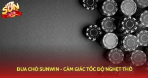 Dua Cho Sunwin Cam Giac Toc Do Nghet Tho