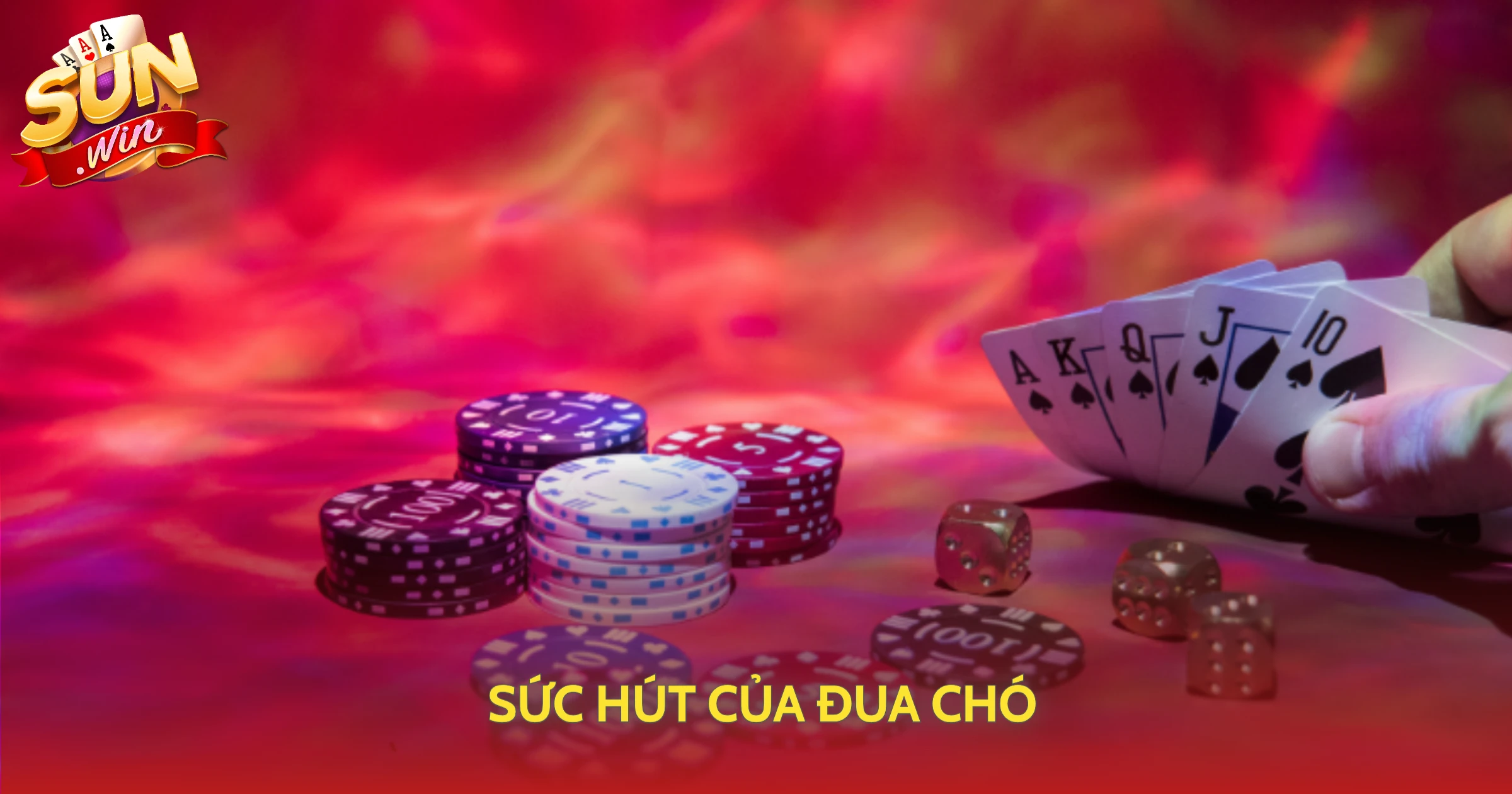 Sức Hút Của Đua Chó